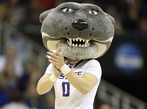 From the Student Section to the Field: Willie the Wildcat's Role in Creating School Spirit